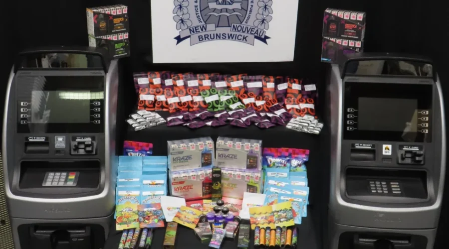 2 arrested after Moncton-area dispensaries searched