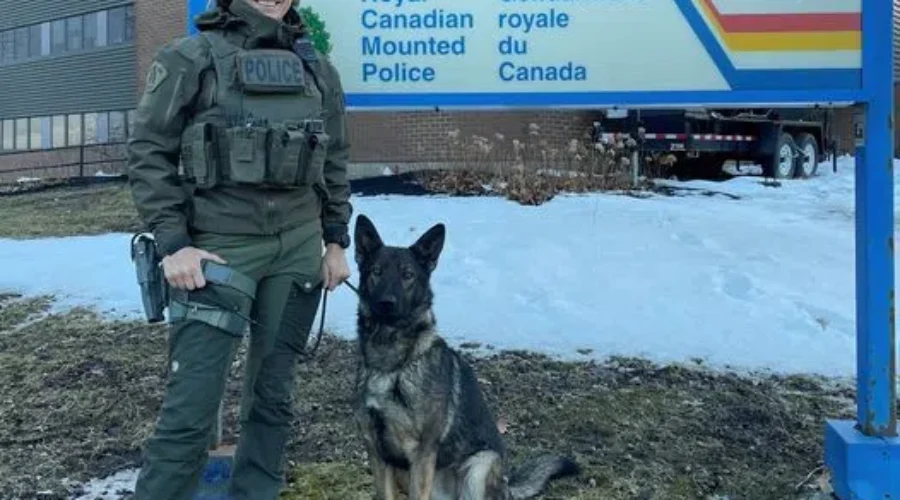 Boy safe thanks to help of RCMP Police Services Dog