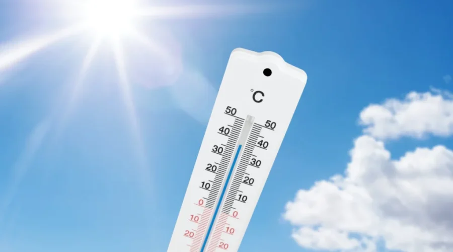 How high will temperatures climb this week in N.B.?