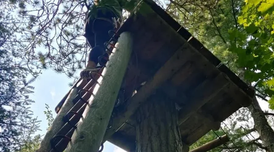 TreeGo Moncton Adventures shuts down