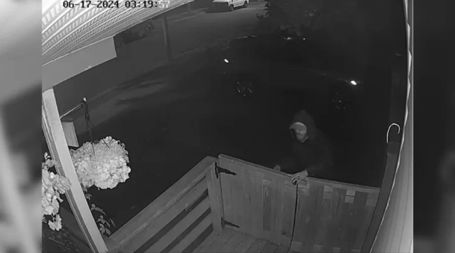 Police investigate arson in Moncton