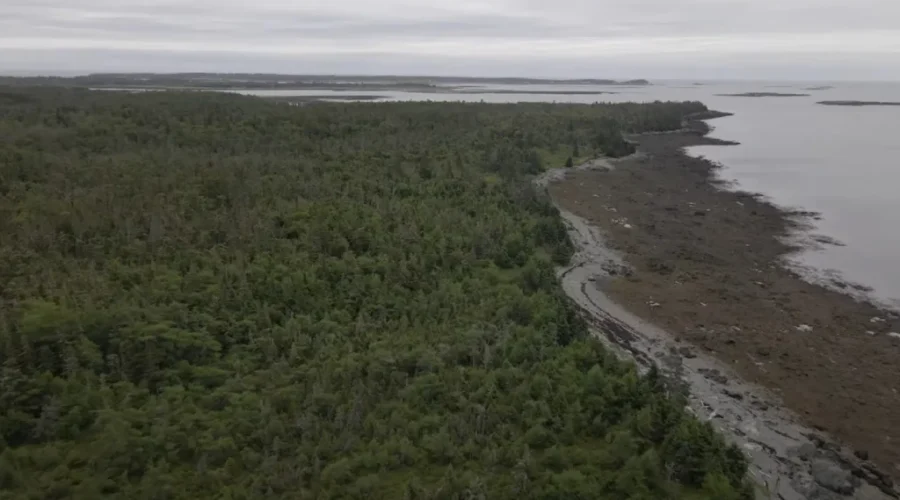 New nature preserve officially opens on Ross Island