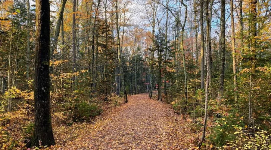 Spillway Trail at Irishtown Park closed