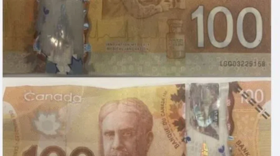 Man arrested for counterfeit $100 bills in Sussex area