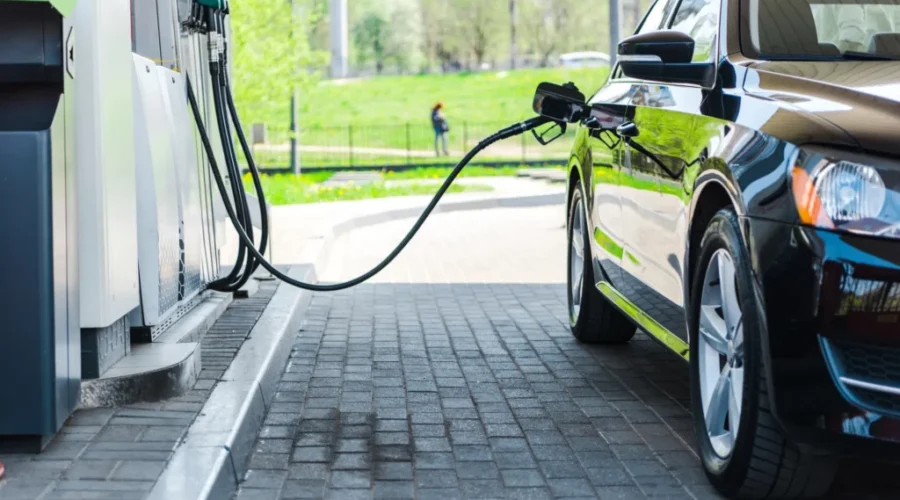 N.B. gasoline down, diesel up