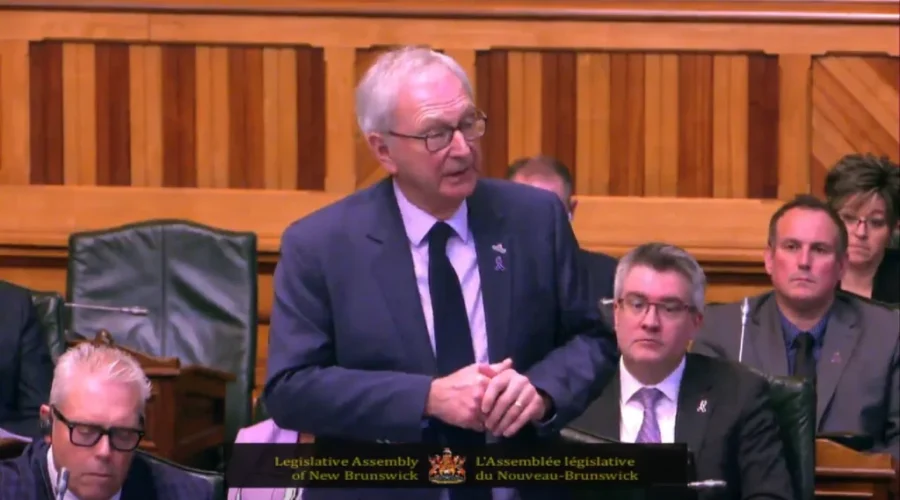 Progressive Conservatives want Susan Holt to fix her platform