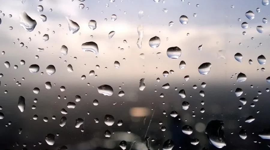 Rainfall warning for Moncton, southeast N.B.