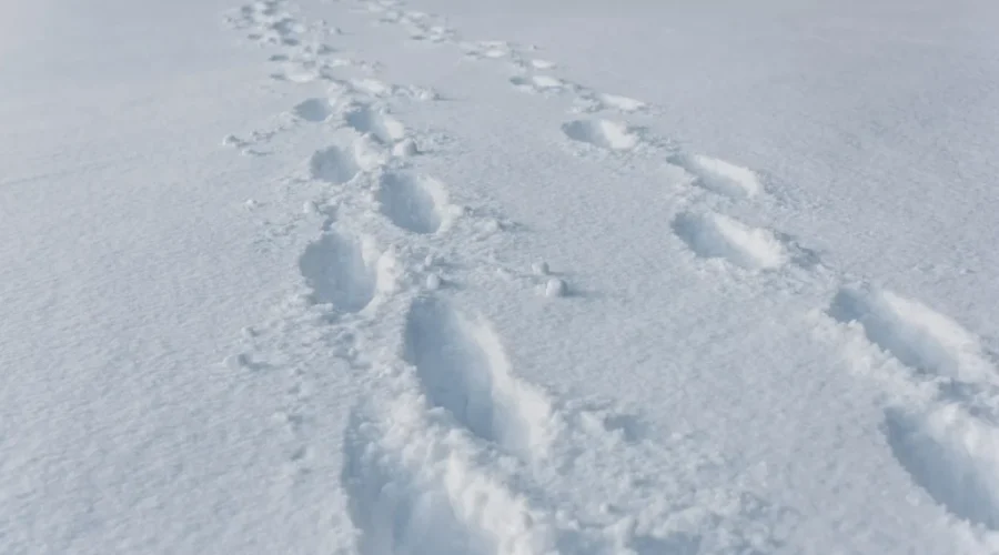 UPDATE: First big snowfall of season for parts of N.B.