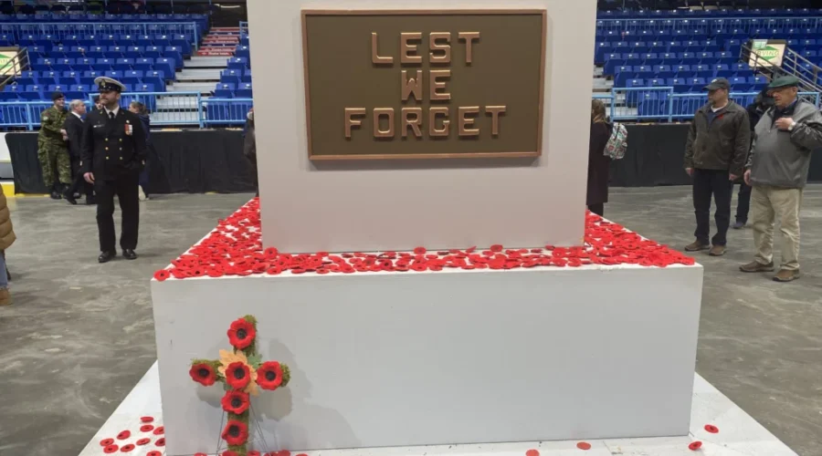 Thousands honour veterans at Remembrance Day ceremonies in N.B.