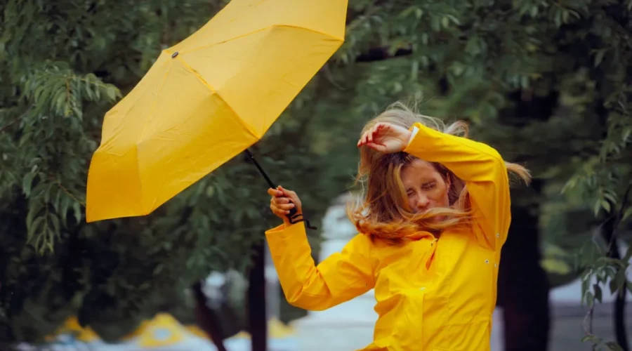 Lots of rain and wind for southeastern N.B.