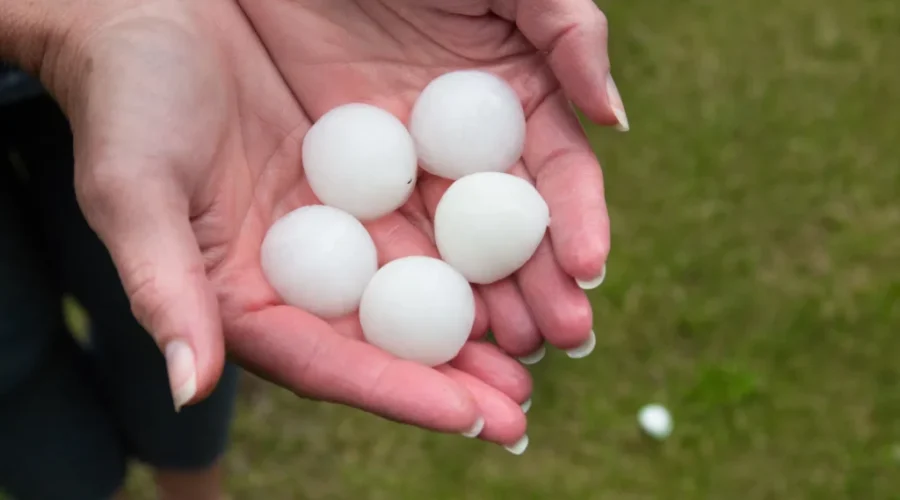 Historic weather events make 2024 Canada’s costliest year