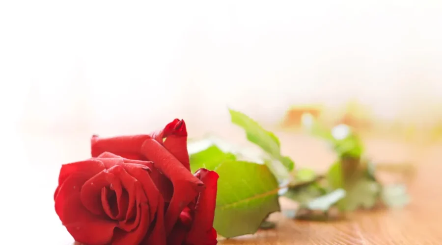 Candlelight vigil to commemorate women lost to violence