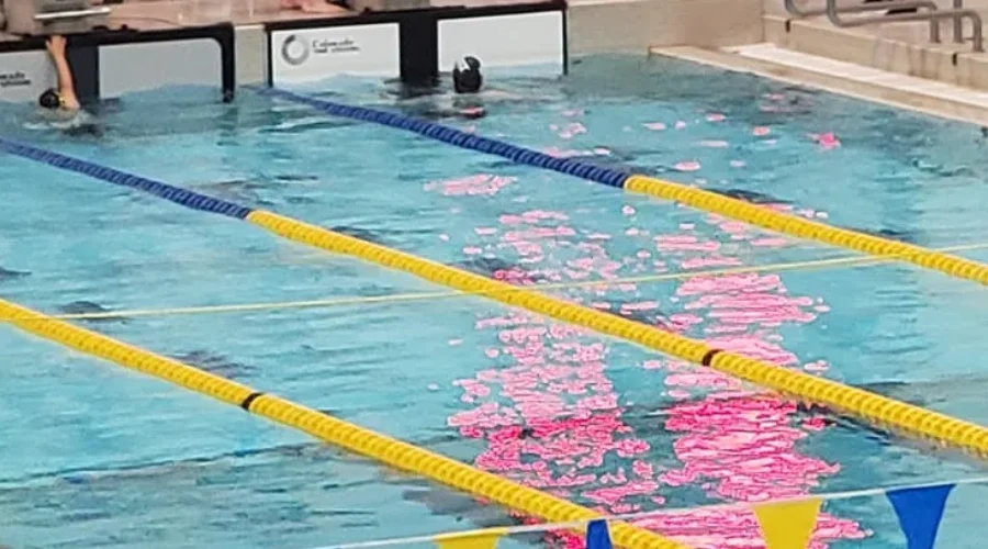 Swimmers showcasing their skills at NB Open Cup
