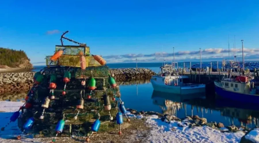 Lobster trap tree in Alma, N.B. constructed at wharf
