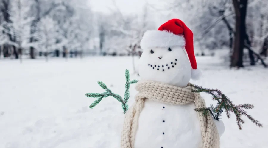 Third annual PolarFest planned for February