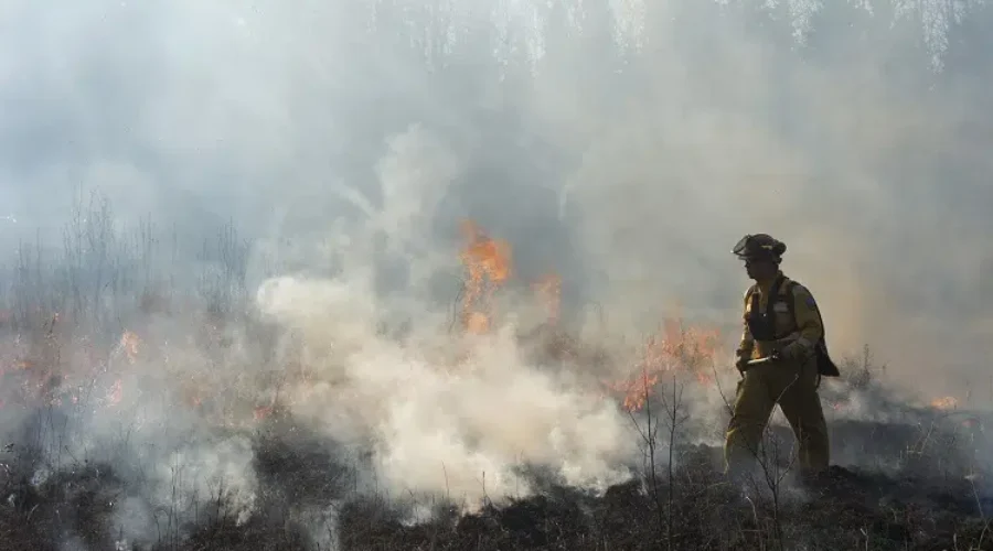 New Brunswick firefighters ready to help fight California wildfires