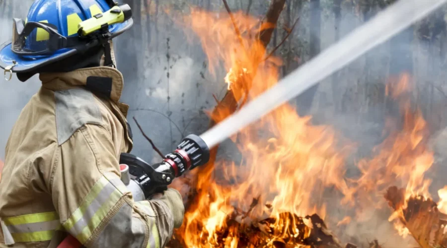 Investments to help battle future N.B. wildfires