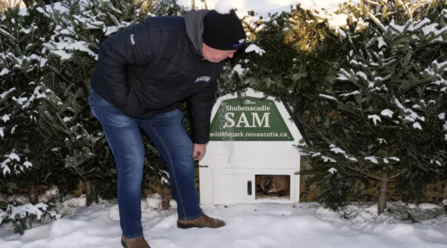 Nova Scotia and Ontario Groundhog Day forecasts: A Split Decision