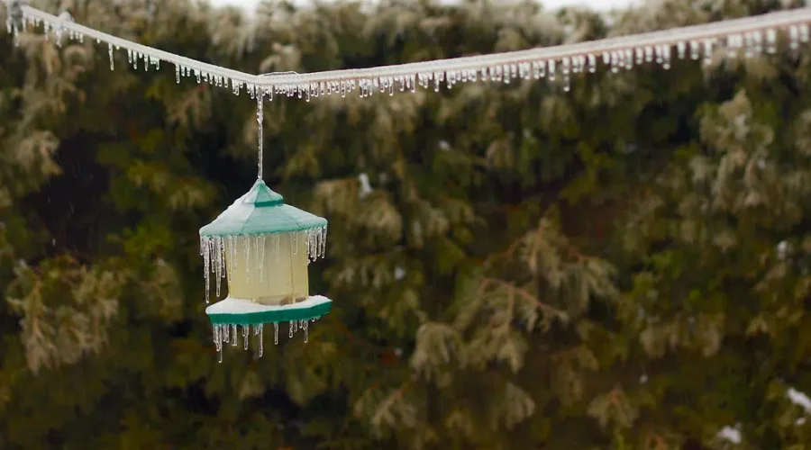 Freezing rain, rainfall warnings in place for much of N.B.