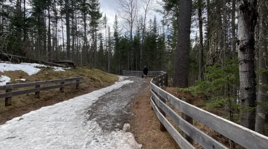 Trail closures at Mill Creek Nature Park