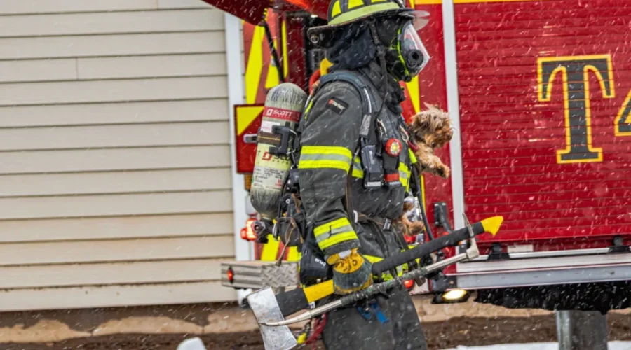Fire at Mapleton Road apartment building, pets rescued