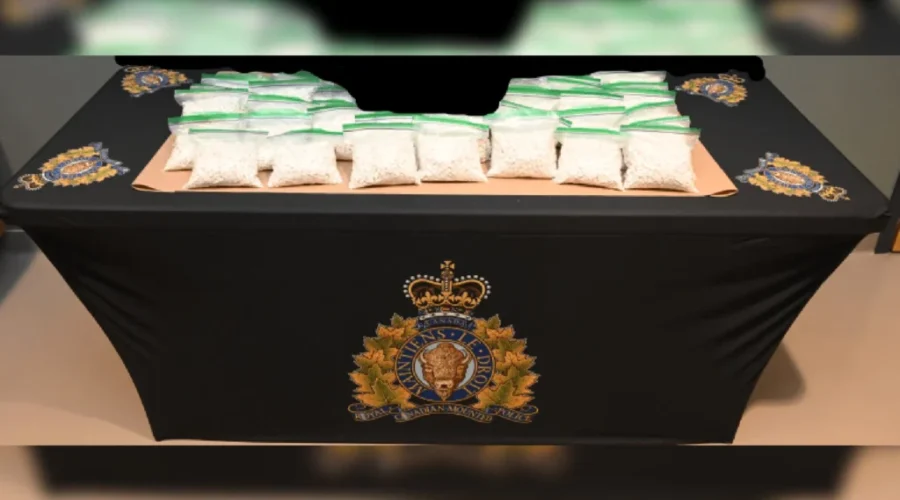 $200K worth of drugs seized in wooded area: RCMP
