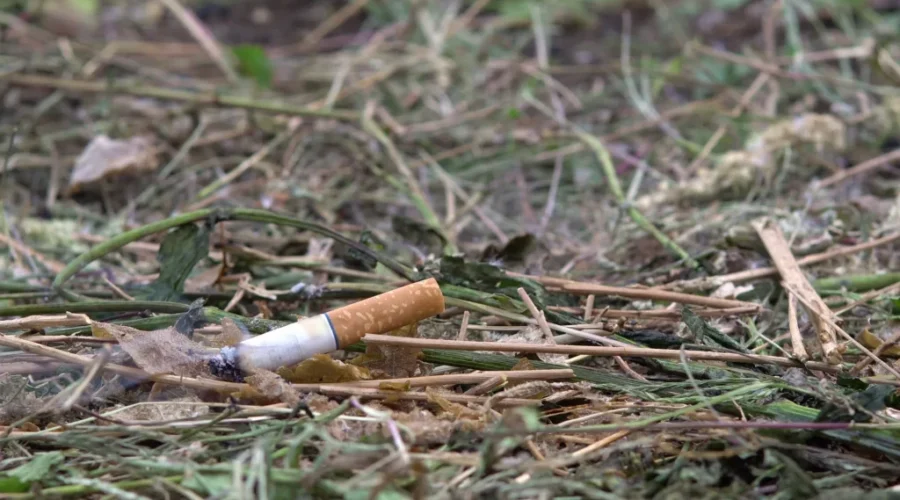 Spring brings grass fires, even in rainy conditions