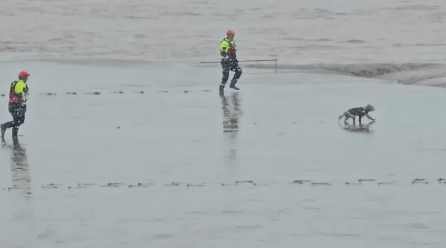 Riverview Fire retrieves dog from Petitcodiac River mud flats