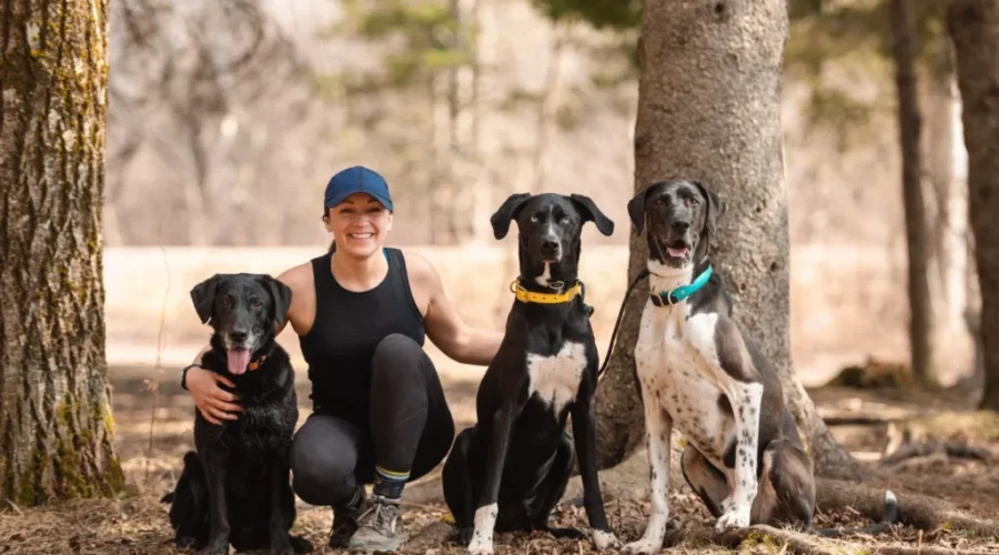Harness dog racing event to be held at Mapleton Park