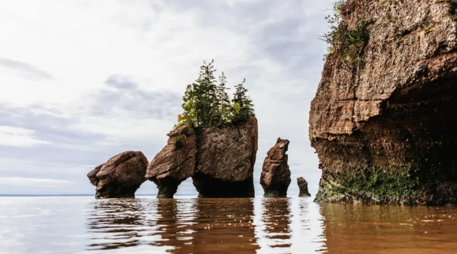 N.B. introduces 25% discount on provincial park passes