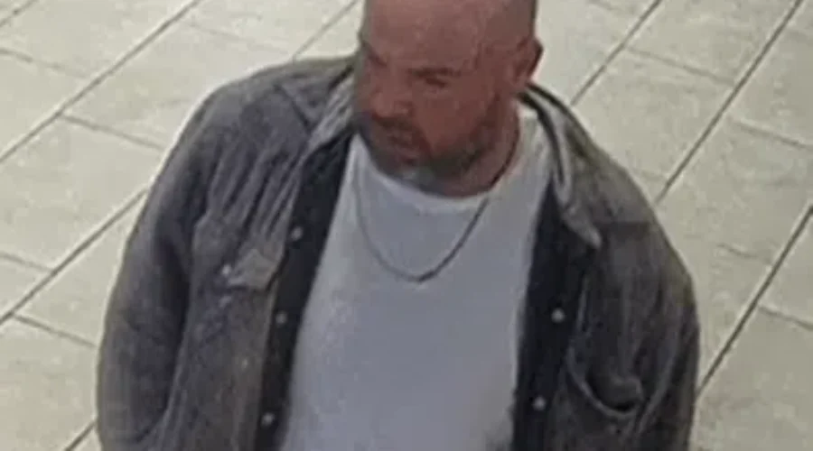 RCMP searching for break and enter suspect