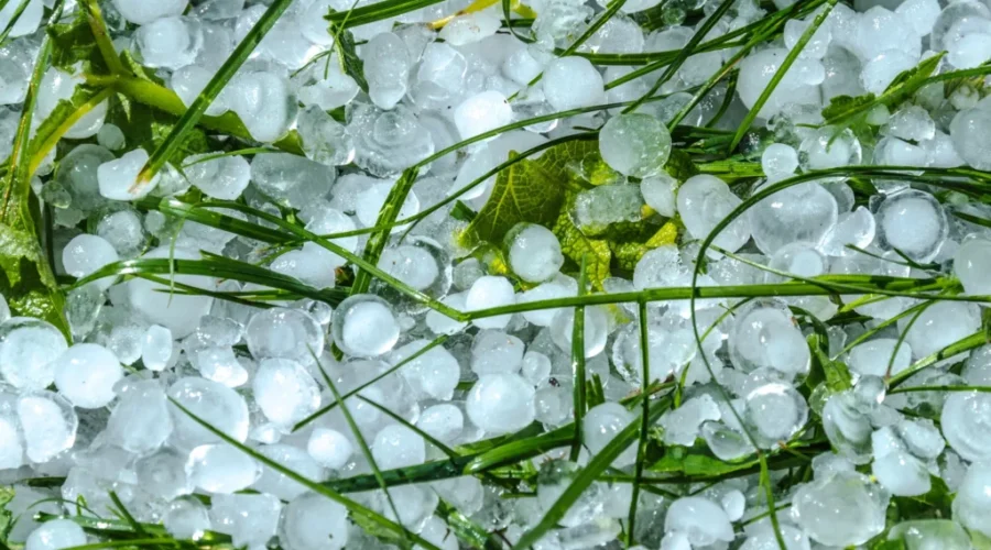 Heavy rain, winds and hail hit southeastern N.B.