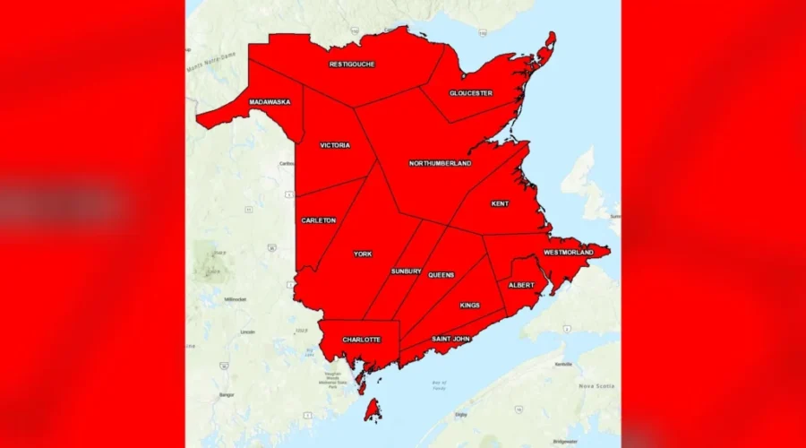 Forest fire ban for all of N.B.