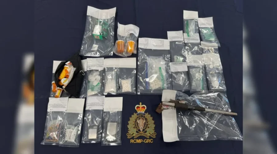 Sussex man charged with drug trafficking