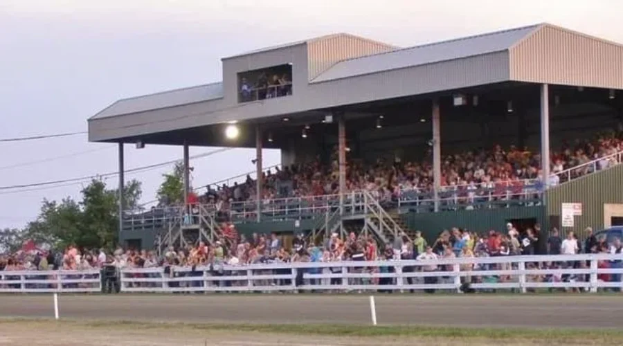 Harness racing resumes at N.B. raceway after fatal incident