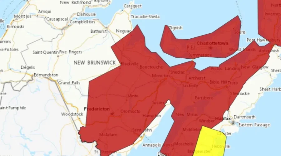 Heat warnings issued for parts of N.B.