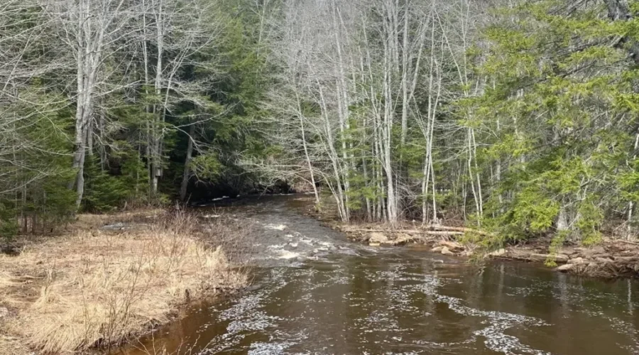 Riverview holds first ever Hike and Seek