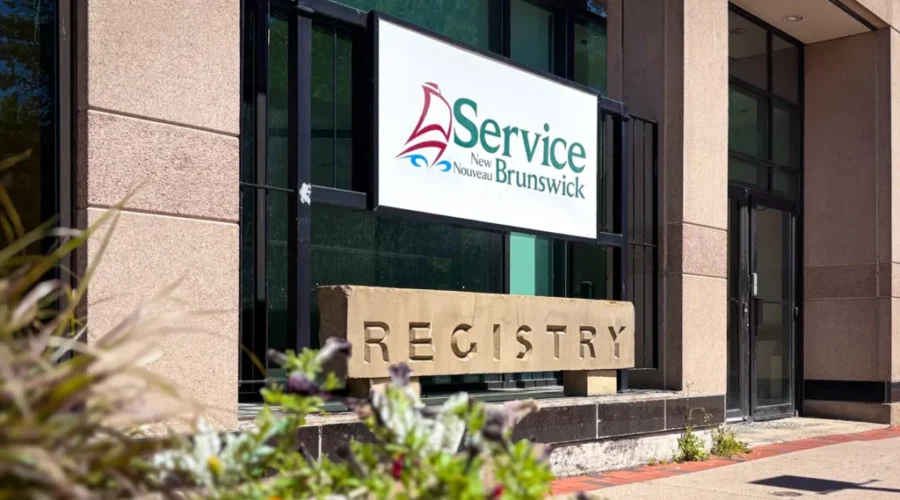 Driver’s licence mail service resumes in N.B.