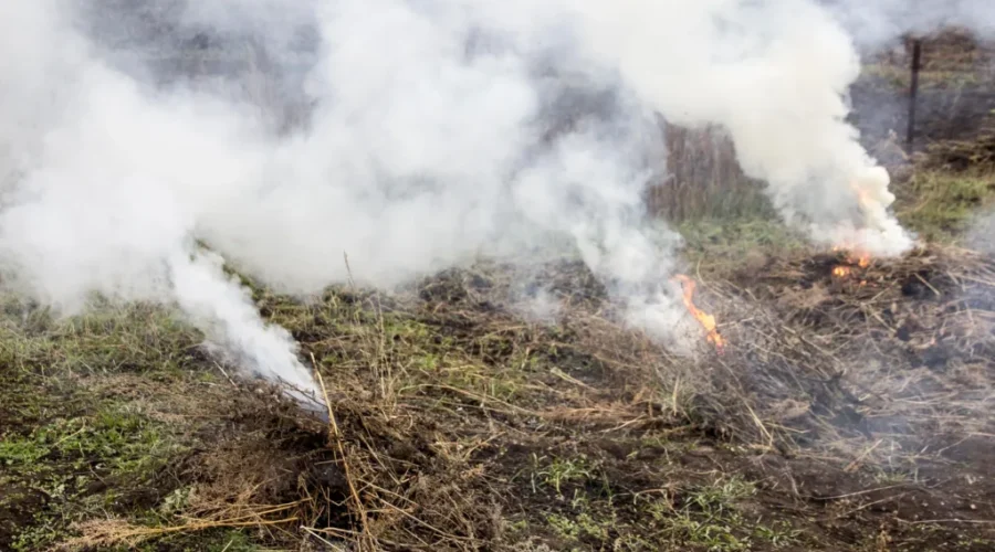 No major changes in N.B. wildfires, fire ban remains in effect