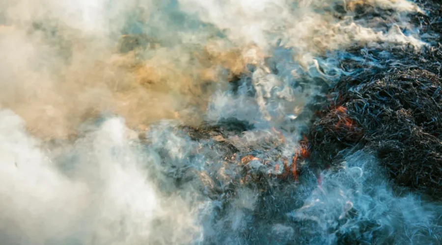 Special air quality statement continues in southeast N.B. as wildfires remain active