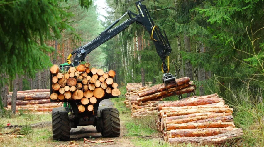 N.B. restricts forestry operations as Miramichi-area wildfire grows