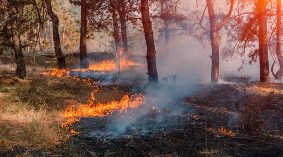 UPD: 34 active wildfires in N.B.