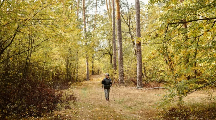 Greater Moncton parks and trails reopen