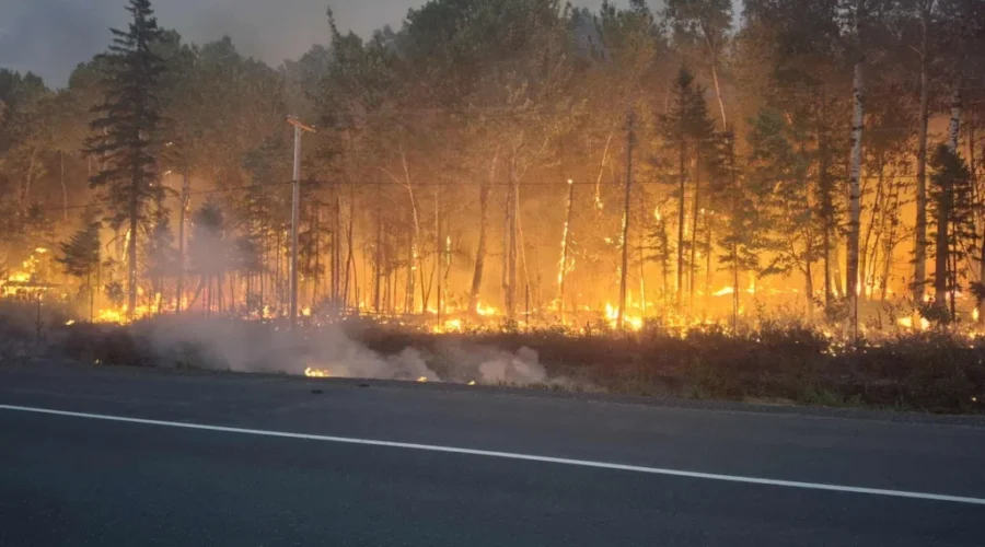 Some operations allowed to resume on Crown land