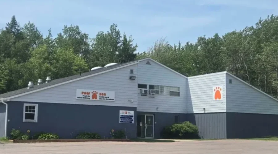 Break-in at PAWS shelter