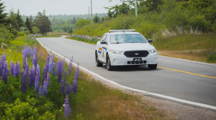 RCMP issue 241 tickets in southeastern N.B. traffic sweep