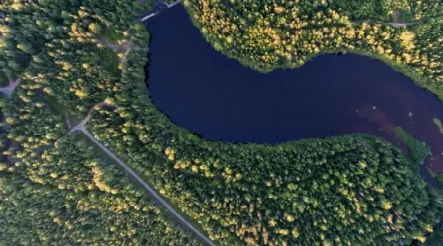 Some Greater Moncton trails closed due to wildfire risk