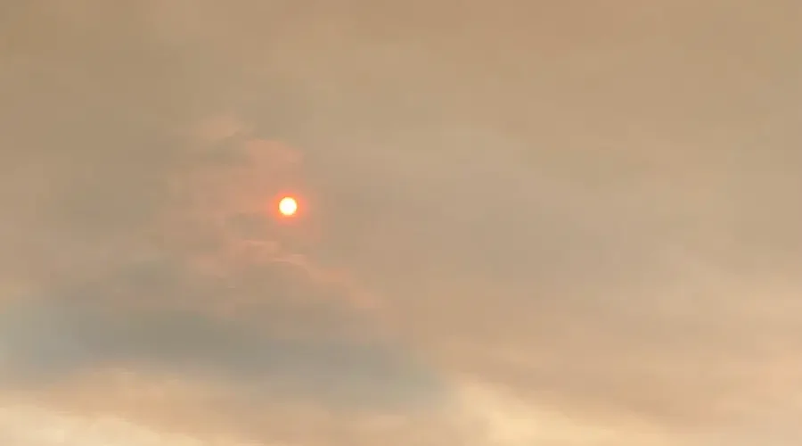 Wildfire smoke causing poor air quality in parts of N.B.