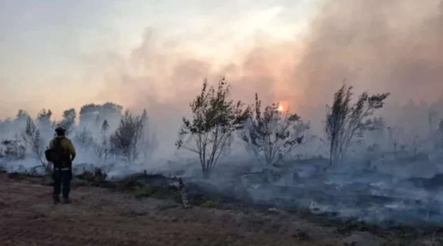 Wildfire conditions improving, but New Brunswickers much remain vigilant