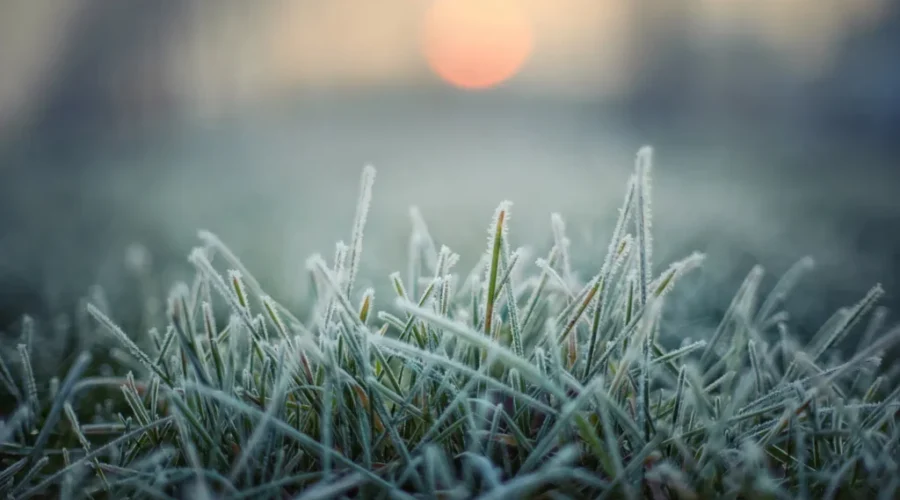 Upd: Frost advisory ended for N.B.